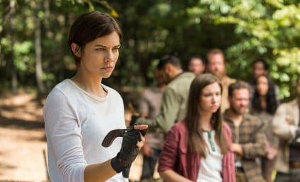 The Walking Dead: Production Resumes After Stuntman's Death