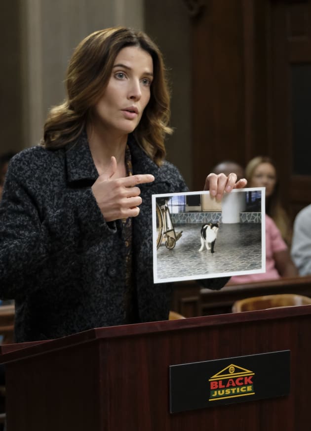 Cat Lady - Stumptown Season 1 Episode 10