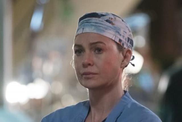 Grey's anatomy season 13 episode 24 full episode top free
