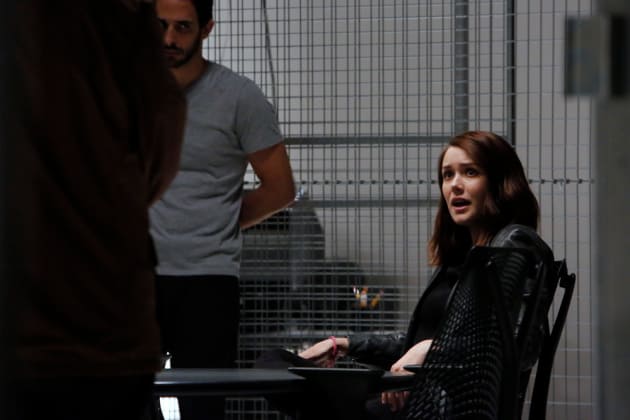 Liz works with the team - The Blacklist Season 4 Episode 6