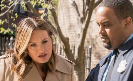 nikki staines law and order svu