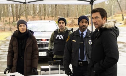 Watch FBI: Most Wanted Online: Season 4 Episode 15