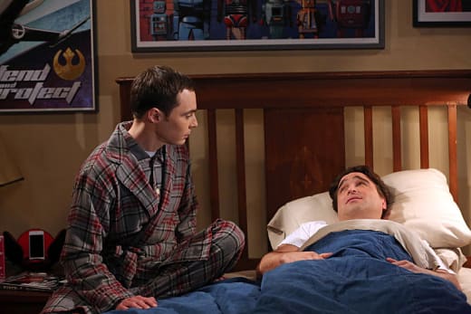 The Big Bang Theory Season 8 Episode 9 Review The Septum