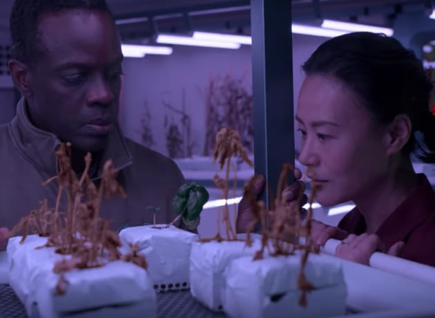 A Plant Mystery - AWAY Season 1 Episode 7