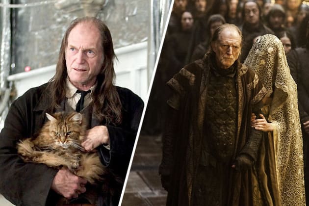David bradley harry potter sale