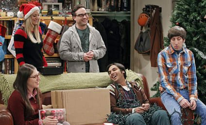The Big Bang Theory Review: What If?