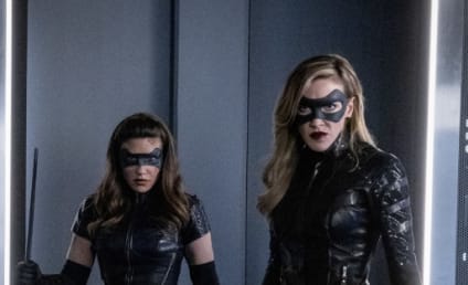 Canaries May Fly in Female-Led Arrow Spinoff
