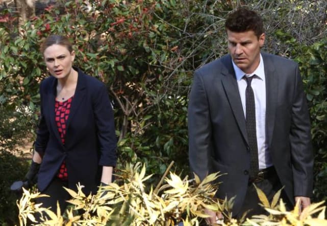 Bones