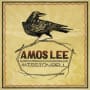 Amos lee flower