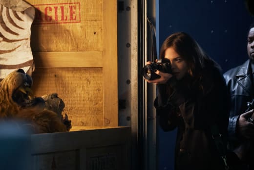 Donna Troy on the Job - Titans Season 1 Episode 8