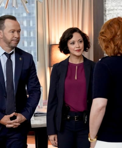 An Unusual Assault Case - Blue Bloods Season 10 Episode 4