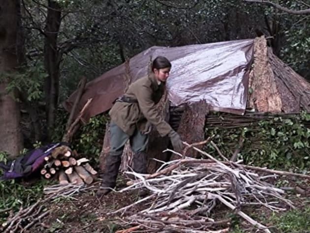 Preparing For Winter - Alone