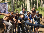 South Pacific Survivors