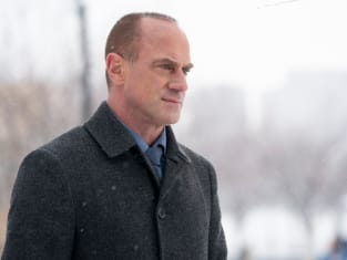 Det. Stabler Returns - Law & Order: Organized Crime
