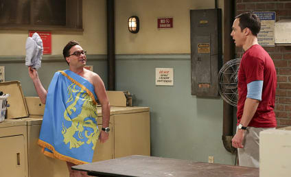 The Big Bang Theory Season 10 Episode 10 Review: The Property Division Collision
