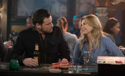 Grey's Anatomy Season 14 Report Card: Best Episode, Worst Sendoff & More! 