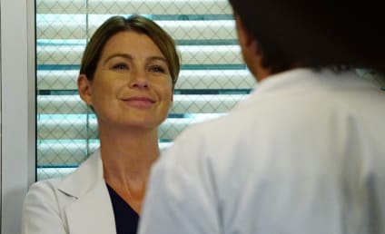 Grey's Anatomy: 11 Hopes for Season 14