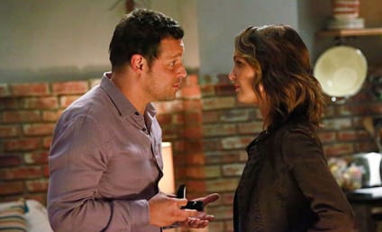Grey's Anatomy Spoilers: Major Season 13 Storyline... Revealed!