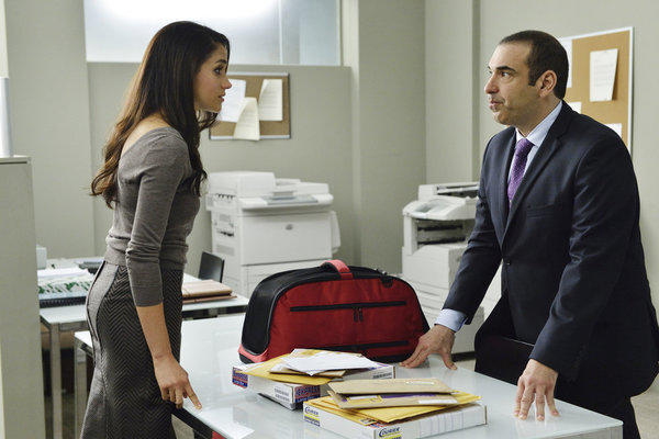 Can Rachel Help?
