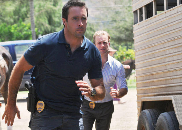 McGarrett & Danny Investigate