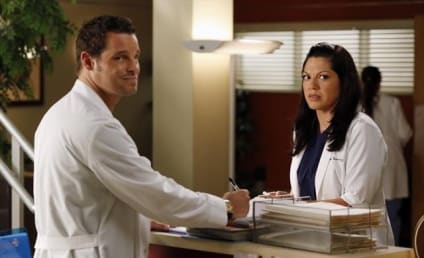 Grey's Anatomy Season 9 Finale Spoilers: Will Anyone Die?