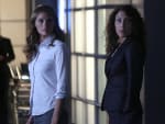 Scrambling to Save Castle