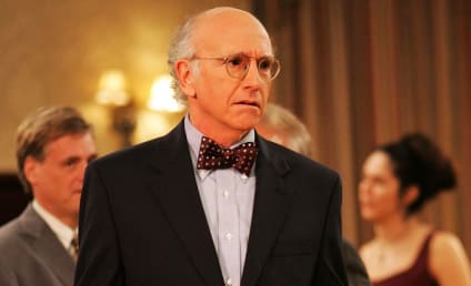 Curb Your Enthusiasm Season Seven Update