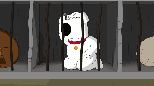 Dog Meat Brian - Family Guy Season 16 Episode 15