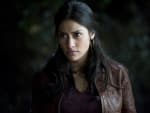 Janina Gavankar on True Blood