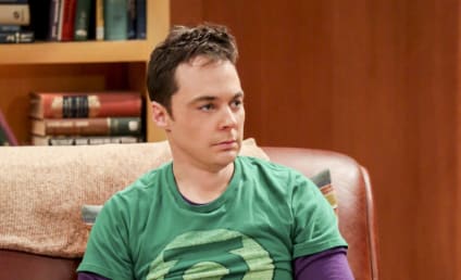 Watch The Big Bang Theory Online: Season 10 Episode 20
