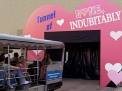 The Tunnel of Love Picture