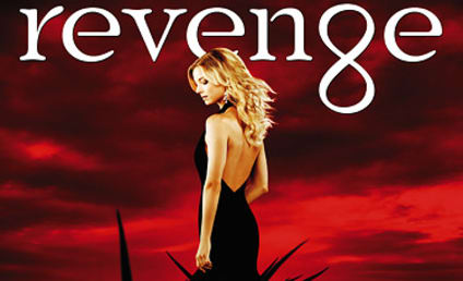 Emily VanCamp Teases "New Villain" on Revenge Season 2