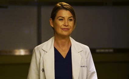 ABC Season Finale Spoilers: How Will Grey's Anatomy and Scandal Conclude?