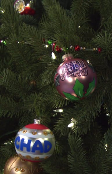 Chad and Abby's Ornaments - Days of Our Lives