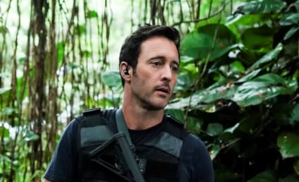 Was Hawaii Five-0 Canceled? The Answer May Surprise You