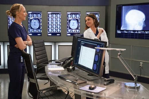 Helping a Vet  - Grey's Anatomy Season 16 Episode 18