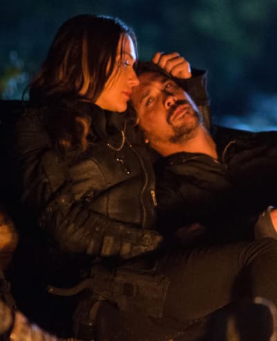 bellamy/echo