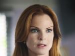 Bree Photo