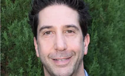 Friends Star David Schwimmer Apologizes for Diversity Comments: 'I Didn't Mean to Imply Living Single Hadn't Existed'