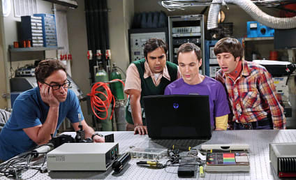 The Big Bang Theory Season 8 Report Card: Grade It!