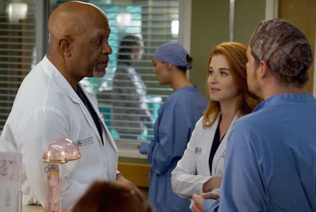 Watch season 14 grey's anatomy best sale