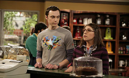 The Big Bang Theory Season Three Finale Review: "The Lunar Excitation"
