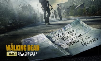 The Walking Dead Return Poster: The New World's Gonna Need Rick Grimes