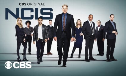 NCIS Season Premiere Spoilers: Look Who's Back!