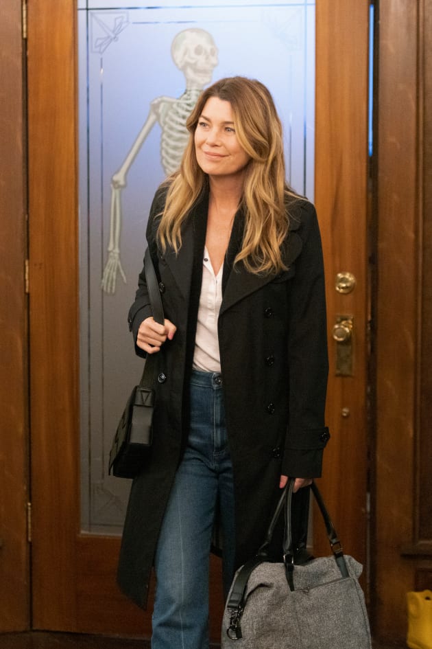 Grey’s Anatomy Round Table: Was the Meredith Farewell Disappointing?