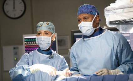 Grey's Anatomy Season 15 Episode 14 Review: I Want a New Drug