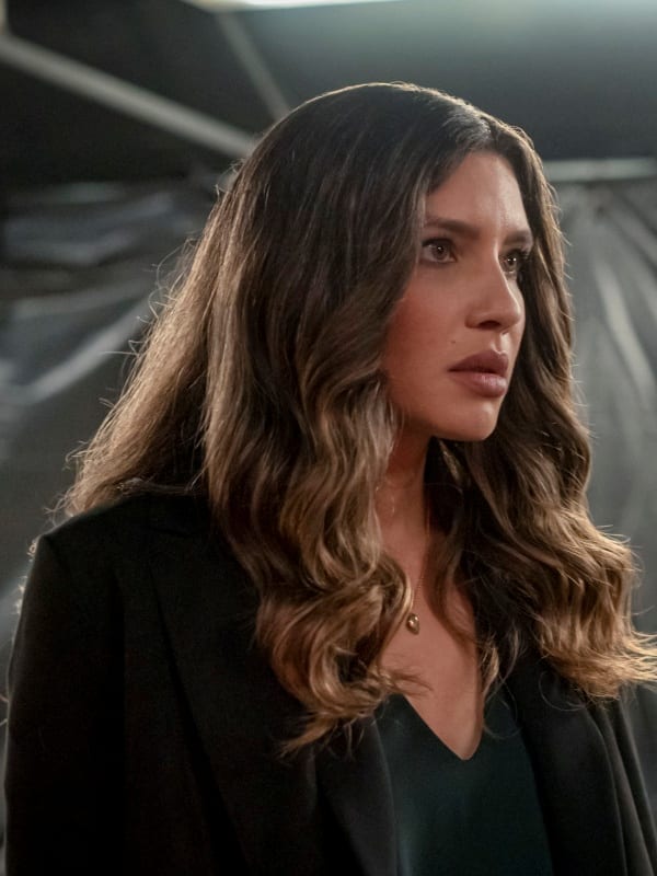 Dinah Drake Arrow Season 8 Episode 6 Tv Fanatic 7890