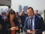 The Whole Story - Blue Bloods