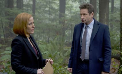 The X-Files: Canceled?