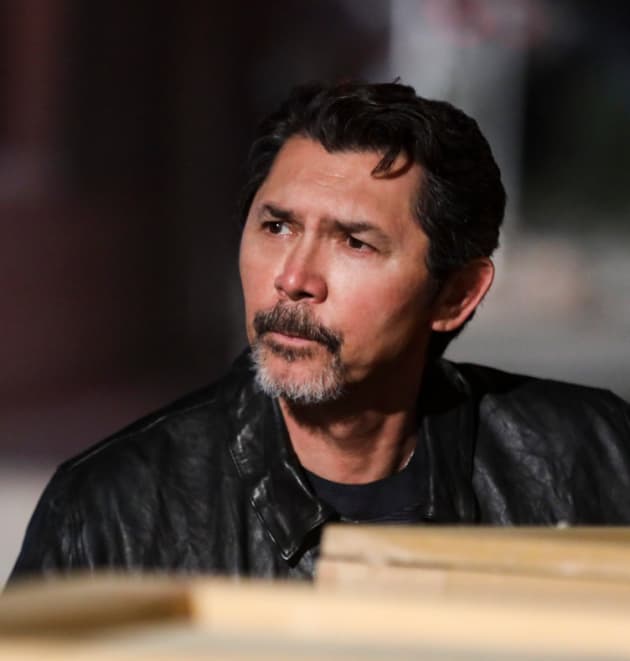 Lou Diamond Phillips as Luis Delgado - Blue Bloods